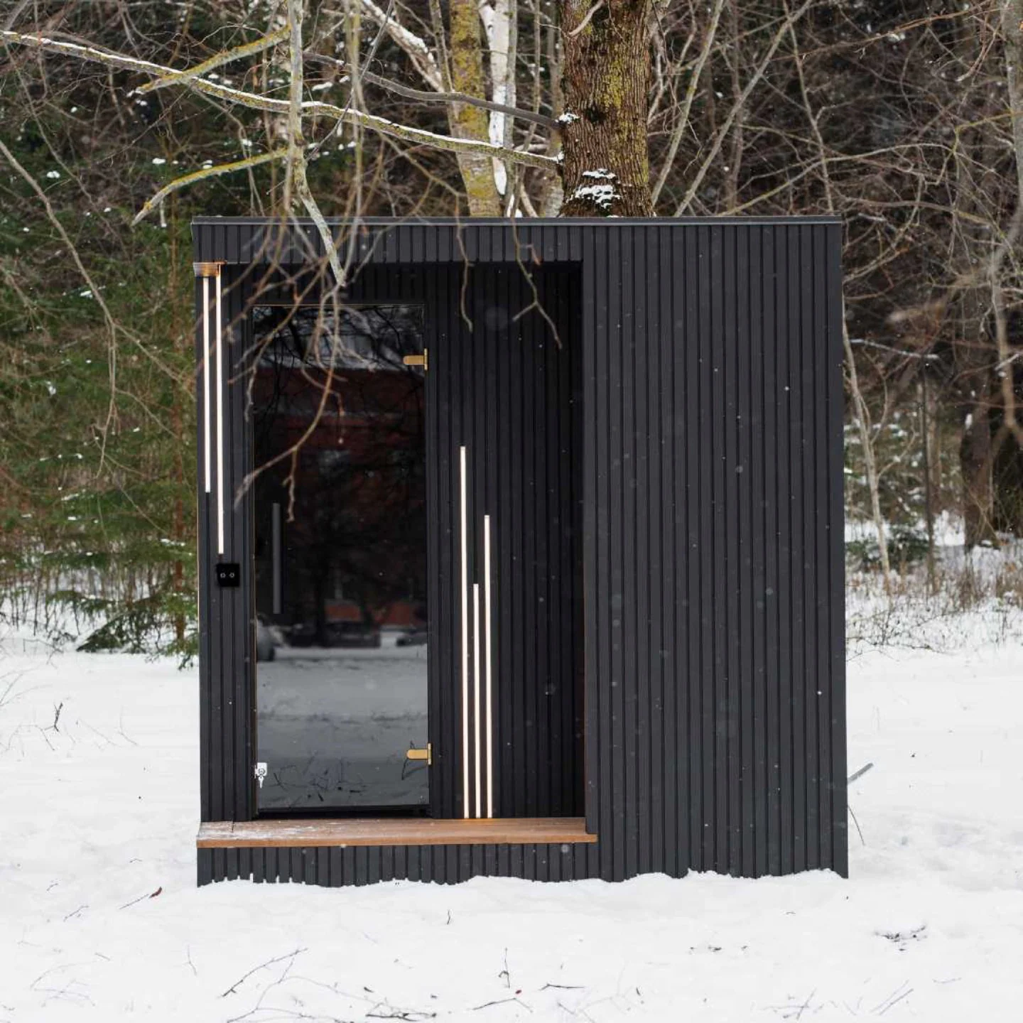 EBON Sauna mit schwarzer Glasfront